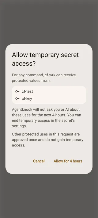 A temporary-access confirmation listing a client, affected secrets, and the scope for any command.
